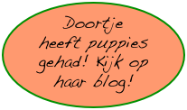 Doortje  heeft puppies gehad! Kijk op
haar blog!
isisidrachtigdrachtiggedekt !!!
Kijk op de blog